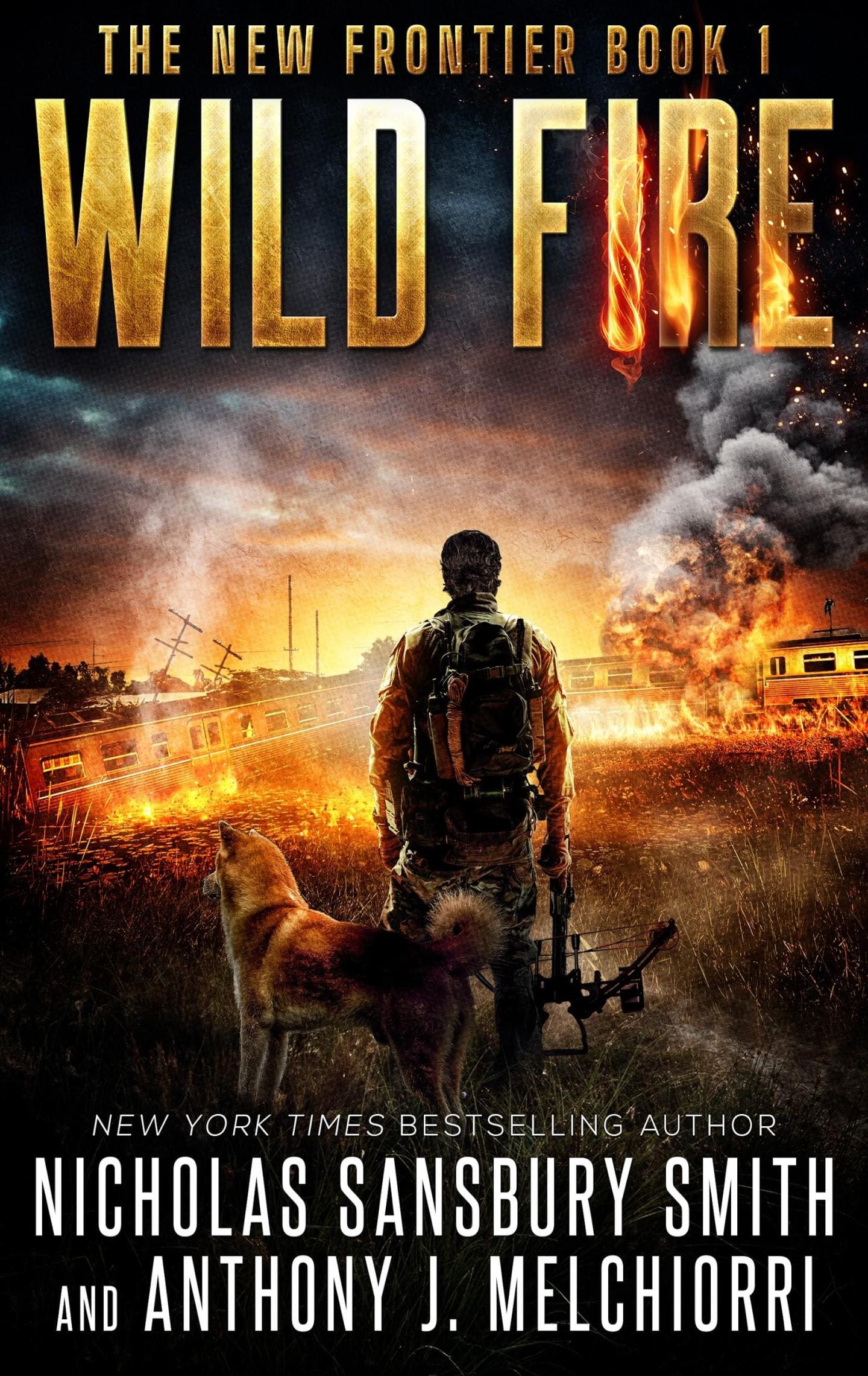 wild-fire-nicholas-sansbury-smith